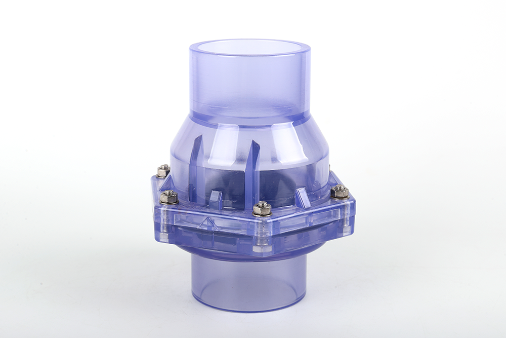 灌阳透明翻板式止回阀